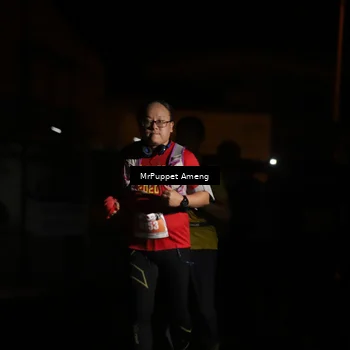 Runner Photo 4331932
