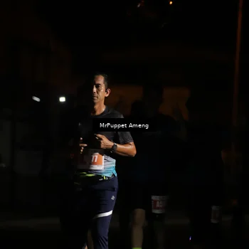 Runner Photo 4331947