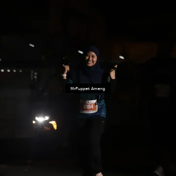 Runner Photo 4331968