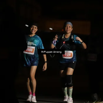Runner Photo 4331984