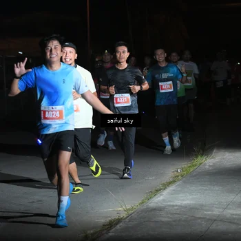 Runner Photo 4331985
