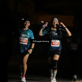 Runner Photo 4331987