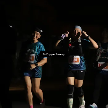 Runner Photo 4331989