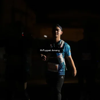 Runner Photo 4331996