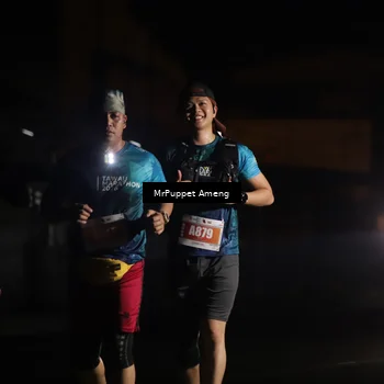 Runner Photo 4332046
