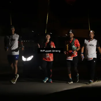 Runner Photo 4332074