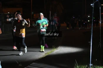 Runner Photo 4332095