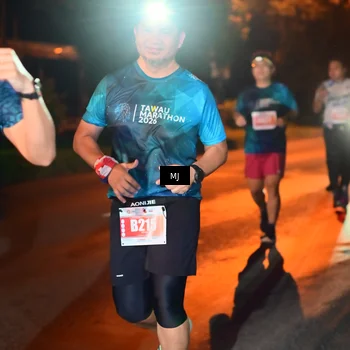 Runner Photo 4333849