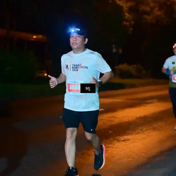 Runner Photo 4333969