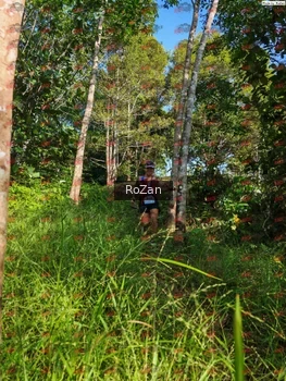 Runner Photo 4334