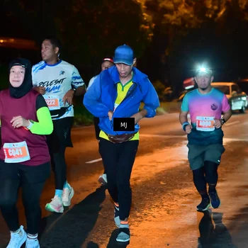 Runner Photo 4334200