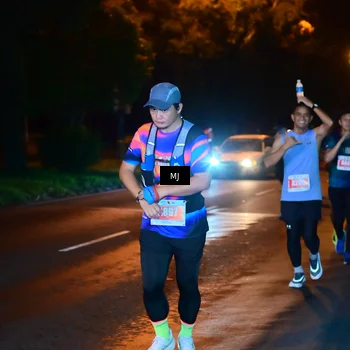 Runner Photo 4334214