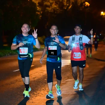 Runner Photo 4334215