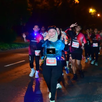 Runner Photo 4334240