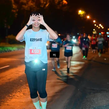 Runner Photo 4334247