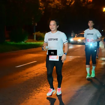 Runner Photo 4334252