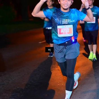 Runner Photo 4334308