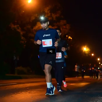 Runner Photo 4334403