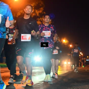 Runner Photo 4334612