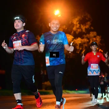 Runner Photo 4334614