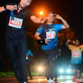 Runner Photo 4334622