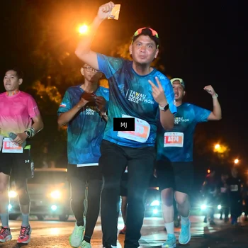 Runner Photo 4334642
