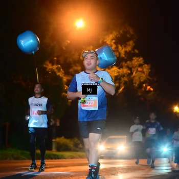 Runner Photo 4334669