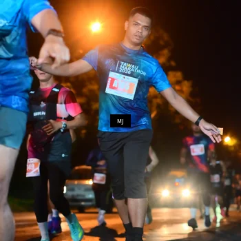 Runner Photo 4334710