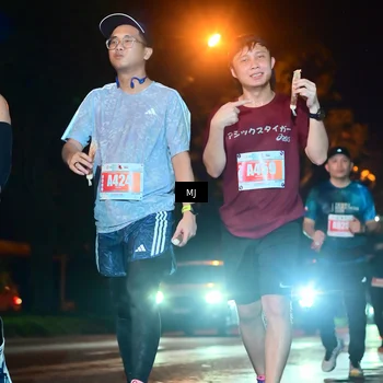 Runner Photo 4334743