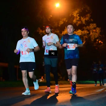 Runner Photo 4334790