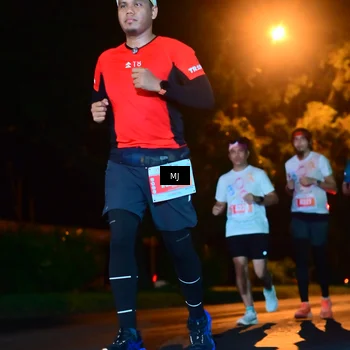 Runner Photo 4334792