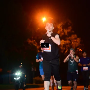 Runner Photo 4334803