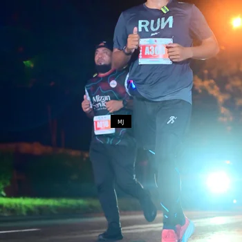 Runner Photo 4334806