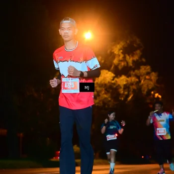 Runner Photo 4334816