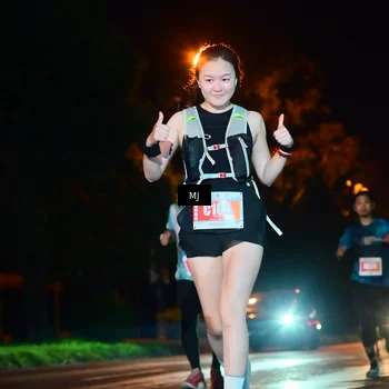 Runner Photo 4334865