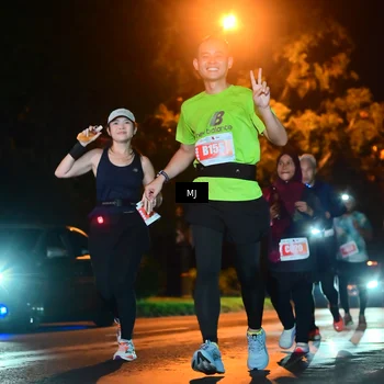 Runner Photo 4334872