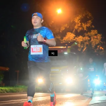 Runner Photo 4334881