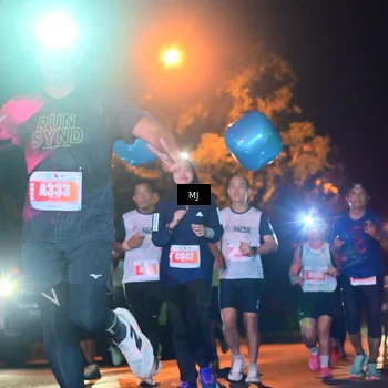 Runner Photo 4334896