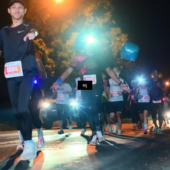 Runner Photo 4334898