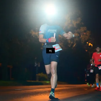 Runner Photo 4334978