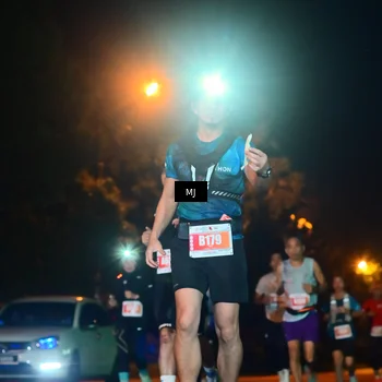 Runner Photo 4334989