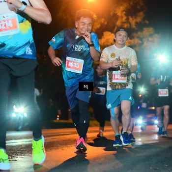 Runner Photo 4334996