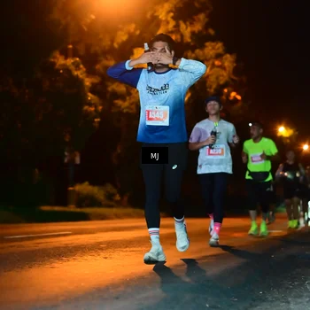 Runner Photo 4335068