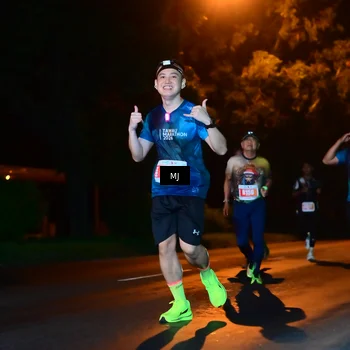 Runner Photo 4335098