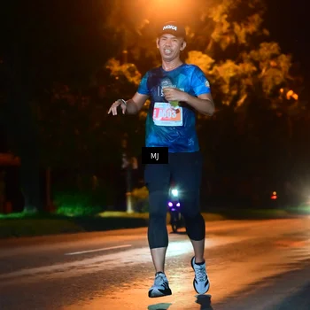 Runner Photo 4335183