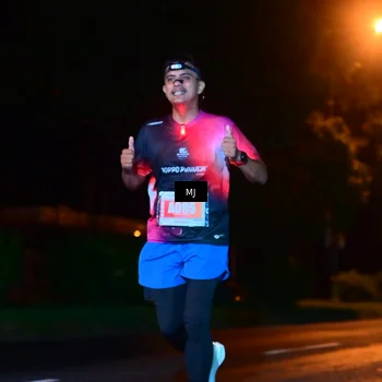 Runner Photo 4335217