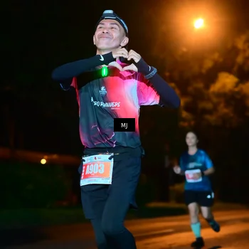 Runner Photo 4335221