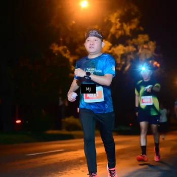 Runner Photo 4335243