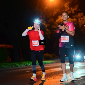 Runner Photo 4335261