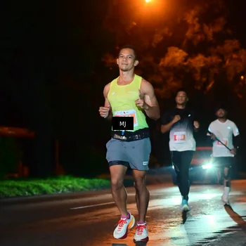 Runner Photo 4335309